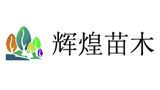 寧波奉化輝煌苗木基地 寧波奉化輝煌苗木基地