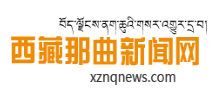 西藏那曲新聞網(wǎng) 西藏那曲新聞網(wǎng)