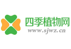 四季植物網(wǎng) 四季植物網(wǎng)