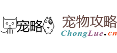 寵略網(wǎng) 寵略網(wǎng)