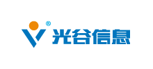 武漢光谷信息技術股份有限公司 武漢光谷信息技術股份有限公司