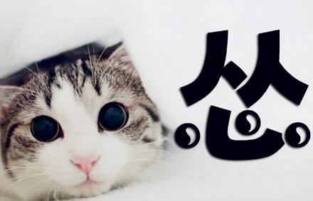 Zʲô,Zʲô˼