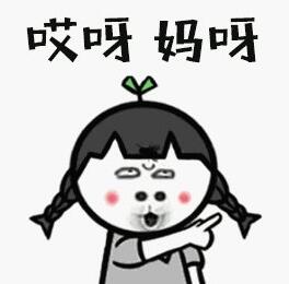 ʲô,ʲô˼