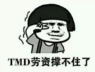 tmdʲô˼,tmd˼