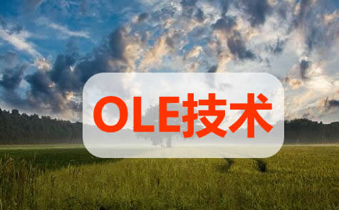OLEg(sh)ʲô,OLEg(sh)˼,OLEg(sh)