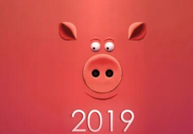 2019ʲô꣨2019ʲôФ