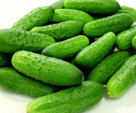 青瓜可以生吃嗎(青瓜是什么)
