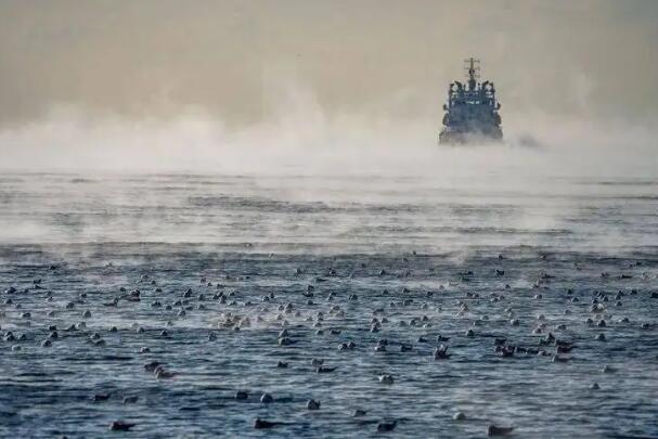 海浩現(xiàn)象是什么(海浩現(xiàn)象是怎么形成的)